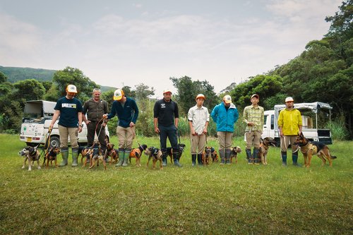 DOC Dogs Japan