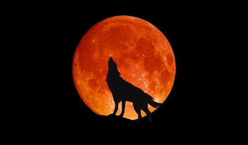 blood_moon_wolf